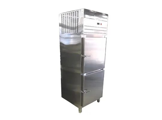 2 Door Vertical Chiller/Freezer